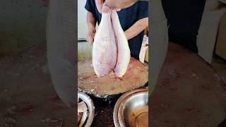 Sea Queen fish slicefishcutting food fish youtubeshorts [upl. by Mellar548]