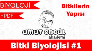 Biyoloji  AYT  Bitki Biyolojisi 1  PDF [upl. by Inavoj869]