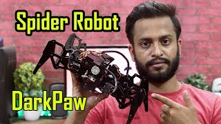 Make DarkPaw Spider Robot At Home  DIY Raspberry Pi Robotics 🕷️ [upl. by Clementas]