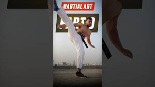 Part 9 Stamina Drills😰 stamina martialartstraining training youtubeshorts martialartsforlife [upl. by Hardy]