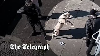 CCTV shows dog that mauled a 10yearold boy to death lunging at passersby [upl. by Guglielmo]