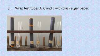 EXPERIMENT 4 REACTIONS OF ALIPHATIC AND AROMATIC HYDROCARBONS [upl. by Gurevich]