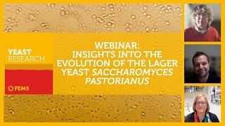 FEMS Yeast Research Webinar on Insights to the Evolution of Lager Yeast Saccharomyces pastorianus [upl. by Naujaj]