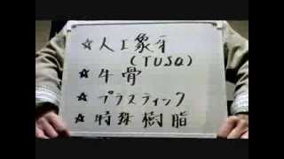 ナット・サドル（弦高調整・加工・交換・購入）の際の注意点～ギター初心者講座 [upl. by Wilser378]