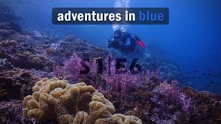 Koh Tao Dive  Underwater Video Training [upl. by Koh]