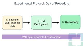 23071 UroMonitor CatheterFree Ambulatory Cystometry is Feasible Safe and WellTolerated An [upl. by Nehtan]