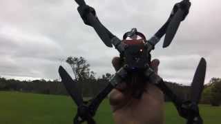 Raptor Quad Blheli 142 [upl. by Rosina941]