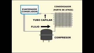 Como funciona un refrigerador [upl. by Merl]