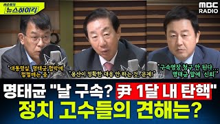 명태균 quot내가 구속되면 한 달 내 尹 탄핵quot핵폭탄급 발언에 대한 전직 의원들의 평가는  김성태amp김종대amp김용남 권순표의 뉴스하이킥 MBC 241008 방송 [upl. by Sherline192]