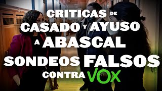 ¡CRÍTICAS DE CASADO Y AYUSO A ABASCAL MIENTRAS SE INVENTAN ENCUESTAS CONTRA VOX  RIDÍCULO DEL PP [upl. by Atteyram]