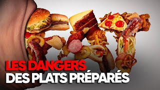 Les dangers de l’abus des aliments quotultratransformésquot  Documentaire complet  AMP [upl. by Eisak554]