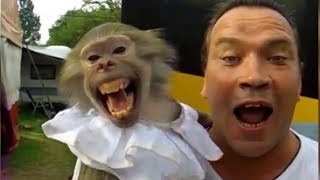 Monkey and Guy Screaming FUNNY [upl. by Eizeerb]