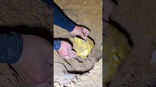 সোনা পেলে এগুলি মনে রাখবেন 💰।। Gold found in the farm [upl. by Casta]