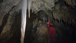 Speleologia Liguria quot Grotta Buranco da Carnabuggia  Toirano Svquot 2016 [upl. by Zakarias]