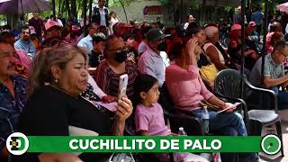 🖋️ LOS POLÍTICOS  Cuchillito de palo [upl. by Anaugal168]