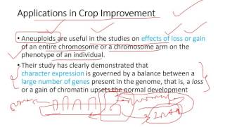 ANEUPLOIDY [upl. by Jean-Claude]