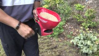 How To Plant Grass Seeds [upl. by Etsirhc288]