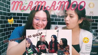 MAMAMOO FUNNY MOMENTS 2019  Reaction Video engsub [upl. by Marigolda]