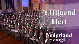 Nederland Zingt Psalm 42  t Hijgend Hert [upl. by Laurent]