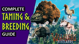 Complete Taming and Breeding Guide  Valheim 2024 [upl. by Adnilemreh]