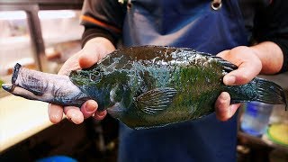 ALIEN FISH Japanese Street Food [upl. by Evoy422]