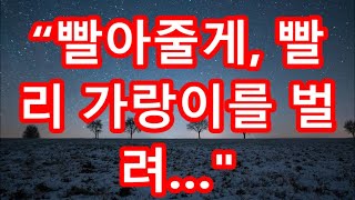 실화사연 의사인 전 남편에게 매 맞고 있는 내게 병원장이 말리다가 내 시계를 보더니 “이사장님 시계랑 똑같은데” 병원장이 벌벌떨며 어디로 전화걸자 병원은 눈물 바다가 한류 [upl. by Digdirb]