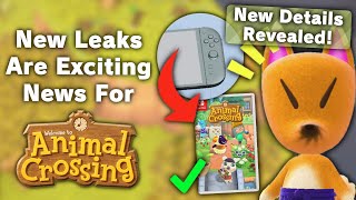 Huge New Leaks Are EXCITING News For Animal Crossing [upl. by Fleurette136]