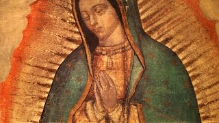 The Story of Our Lady of Guadalupe [upl. by Hesoj]