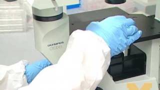 5 Things you should know about stem cell research [upl. by Ecnedac]