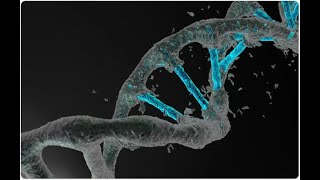 Gene Editing Battle Minimizing Off Target Effects [upl. by Anyzratak]