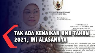 Pemerintah Pastikan Tak Ada Kenaikan UMR Tahun 2021 [upl. by Orlanta]