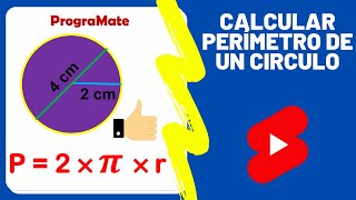 Perímetro de un Circulo  Figuras Geométricas   Ejercicios Shorts ✔ [upl. by Eidur]