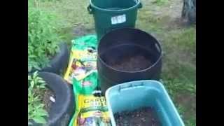 How to grow Potatoes In Containers  Complete Growing Guide [upl. by Amye]