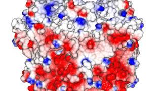 Pentameric Channel Nicotinic Acetylcholine Receptor Homolog with sound [upl. by Eiramanel]