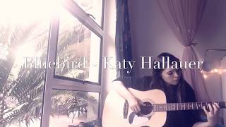 Bluebird  Katy Hallauer original [upl. by Epilihp]