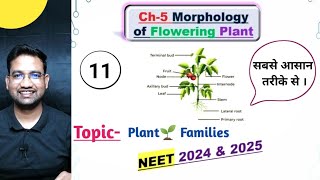 MORPHOLOGY OF FLOWERING PLANTS🌱 Family Fabaceae Solanaceae Liliaceae  neet2024biology [upl. by Annmarie]