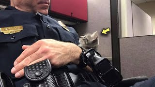 A Police Officer Comforted a Homeless Kitten All Night and Became a Father to Him in the Morning [upl. by Drofliw]