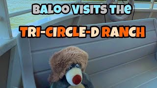 Baloo takes a trip to Disney’s TriCircleD Ranch  Fort Wilderness  Walt Disney World [upl. by Editha]