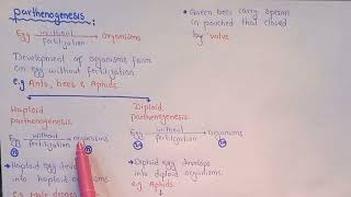 Parthenogenesis  Haploid And Diploid Parthenogenesis  Class 12 [upl. by Hawkie242]