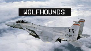 32ND TFS WOLFHOUNDS  Soesterberg [upl. by Alahcim]