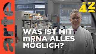 mRNA Werden wir dank Corona den Krebs besiegen  42  Die Antwort auf fast alles  ARTE [upl. by Ydurt979]