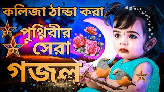 কলিজা ঠান্ডা করা সুরে পৃথিবীর সেরা গজল। New 2023 Bangla Gojol  SelimShikhon [upl. by Doi]