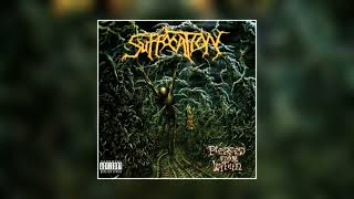 Suffocation  Pierced from Within 1995 FULL ALBUM HQ [upl. by Jollenta175]