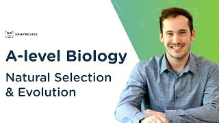 Natural Selection amp Evolution  Alevel Biology  OCR AQA Edexcel [upl. by Ewell]