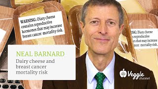 Dairy cheese and breast cancer mortality risk  Neal Barnard [upl. by Arndt]