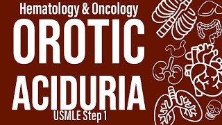 Orotic Aciduria HemeOnc  USMLE Step 1 [upl. by Adnirol]