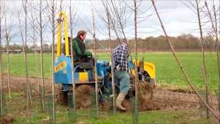 Bomen rooien bij boomkwekerij HJ van Dee [upl. by Yerffoeg]