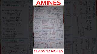 AMINES Class 12 Notes  Handwritten Notes [upl. by Aitra]