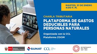 PLATAFORMA DE GASTOS DEDUCIBLES PARA PERSONAS NATURALES [upl. by Torrence]