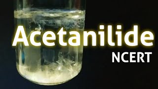 Acetanilide Nphenylacetamide Preparation NCERT guide [upl. by Gonnella720]